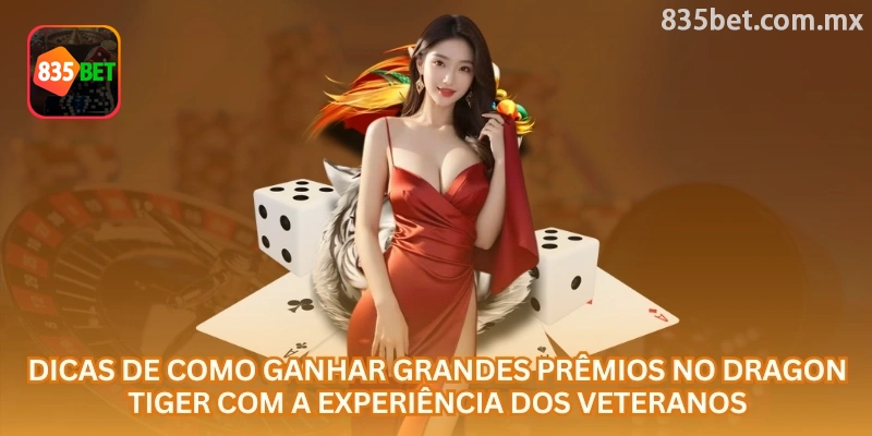 Sessão de Dragon Tiger revisada com atenção ao saldo